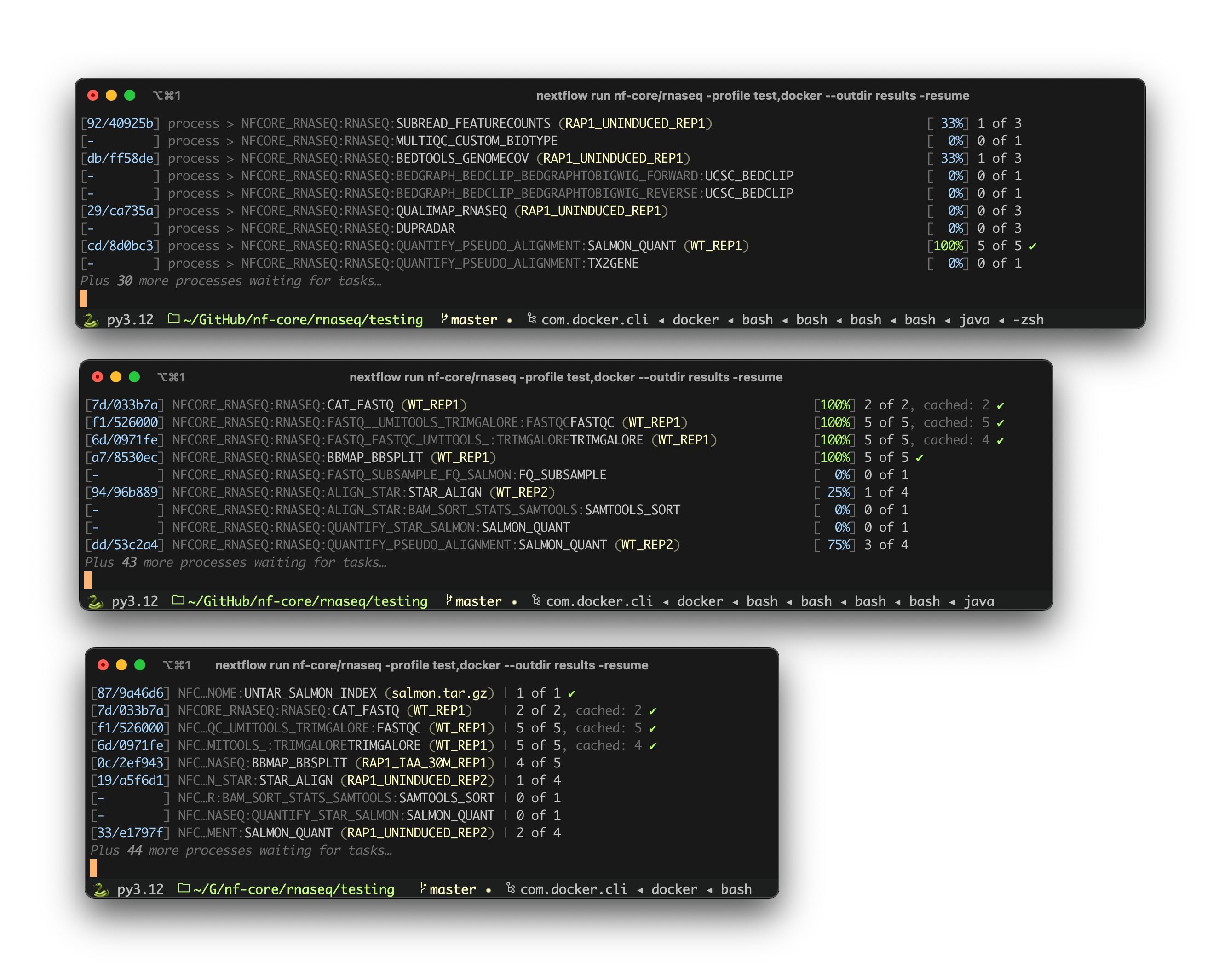 Nextflow console output at different terminal window widths